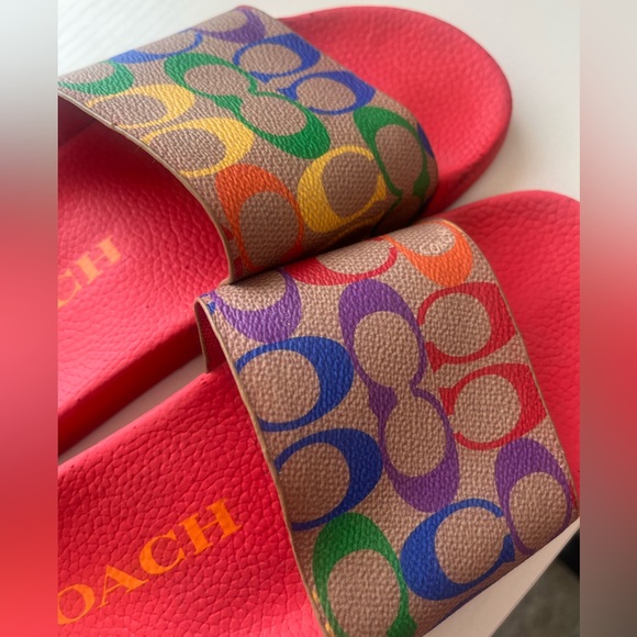 Rainbow Coach slides - Picture 2 of 6